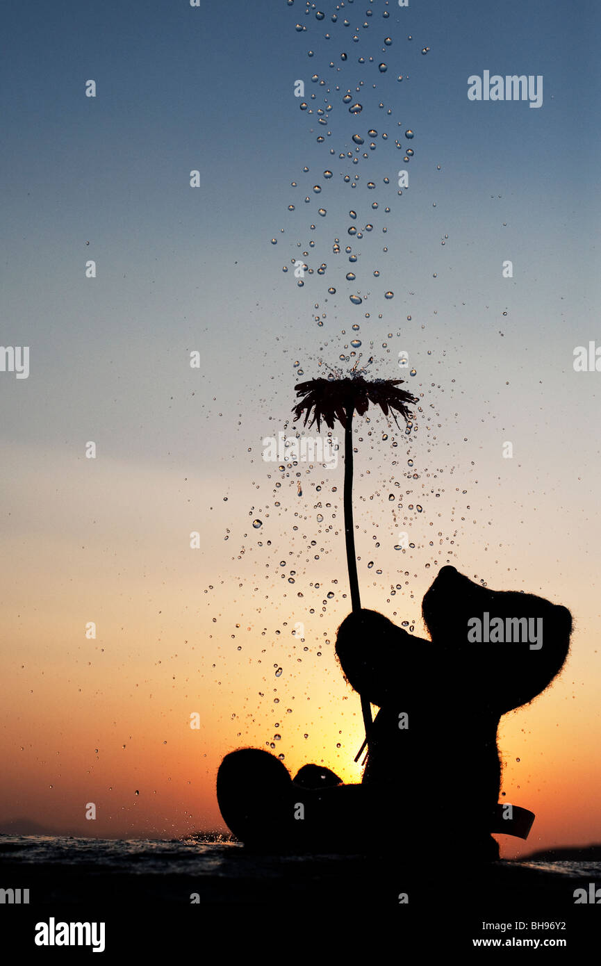 Orsacchiotto di peluche tenendo un fiore con gocce d'acqua versando su di loro al tramonto. Ancora vita silhouette Foto Stock