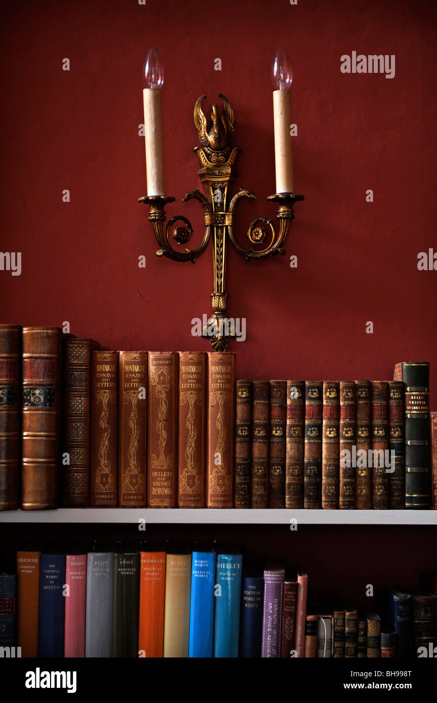 Raccordo di luce al di sopra di uno scaffale nella biblioteca di una casa di campagna Inglese UK Foto Stock