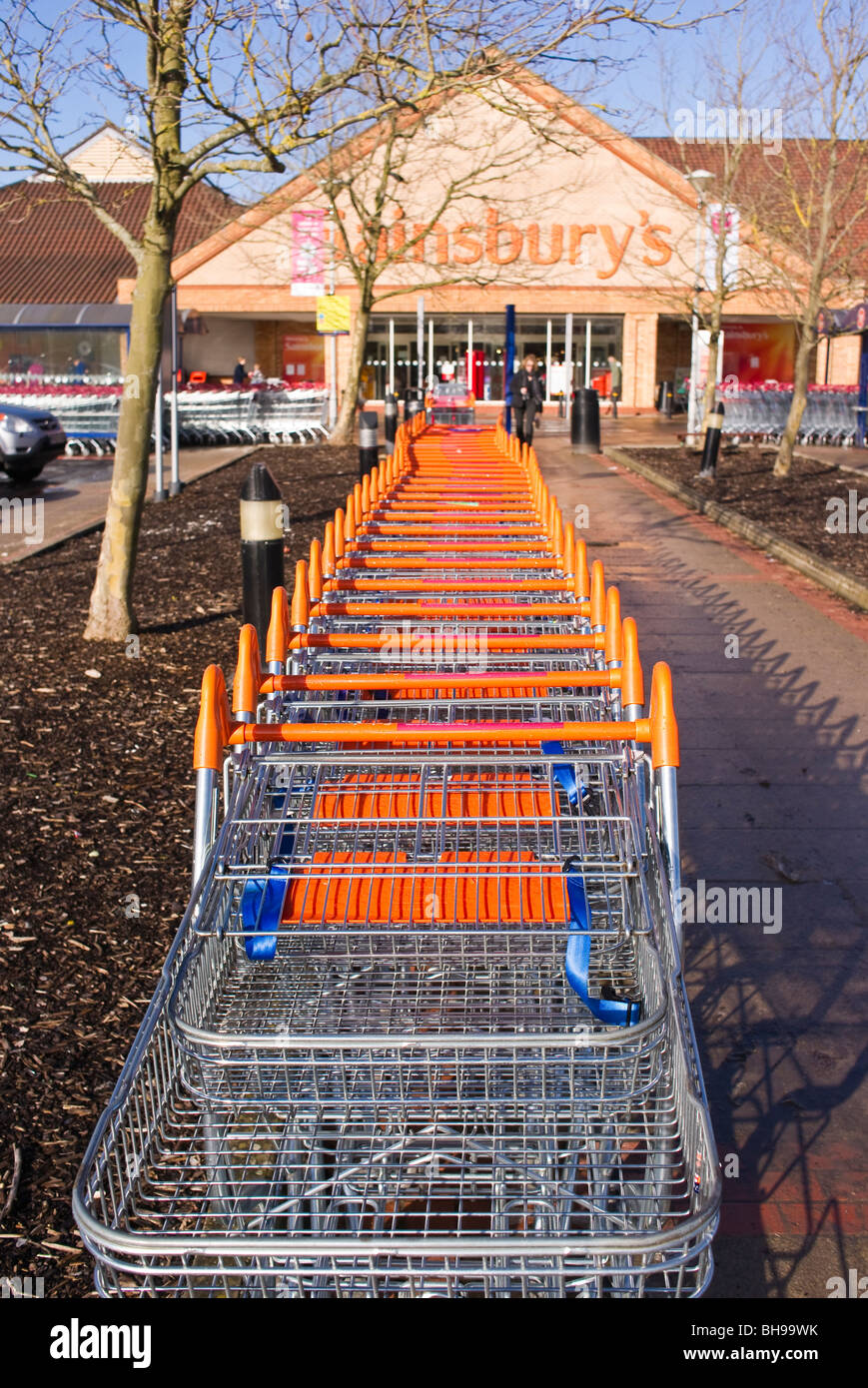 I carrelli di shopping in una linea di Sainsbury's supermercato nel Wiltshire Foto Stock