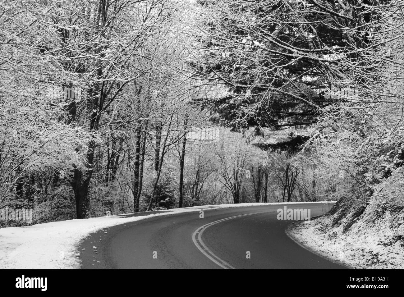 Coperti di neve della struttura e un inverno road vicino a Portland Oregon Foto Stock