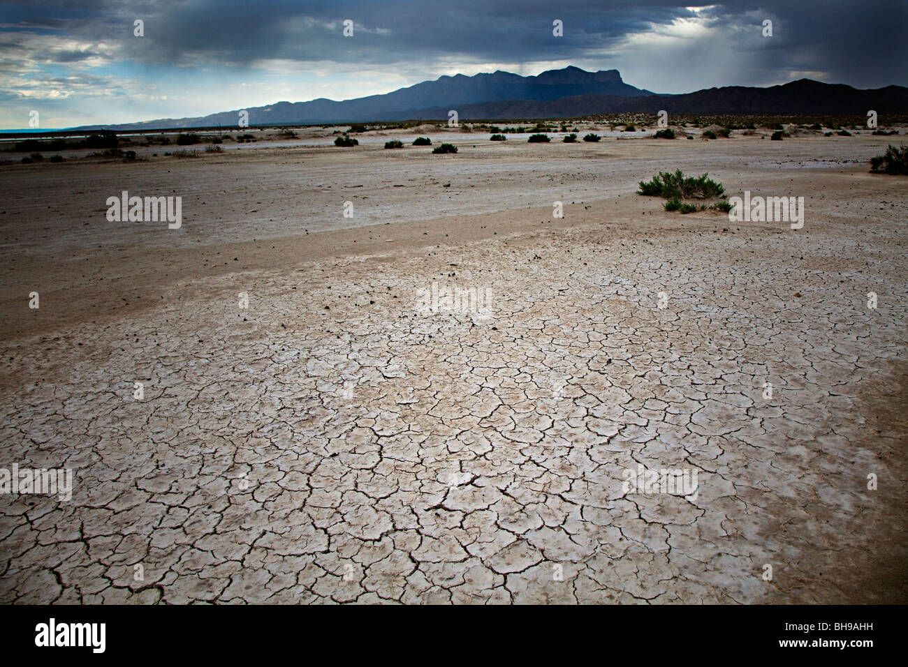 Sale essiccato appartamenti lago Linda Bacino di sale e Montagne Guadalupe Texas USA Foto Stock