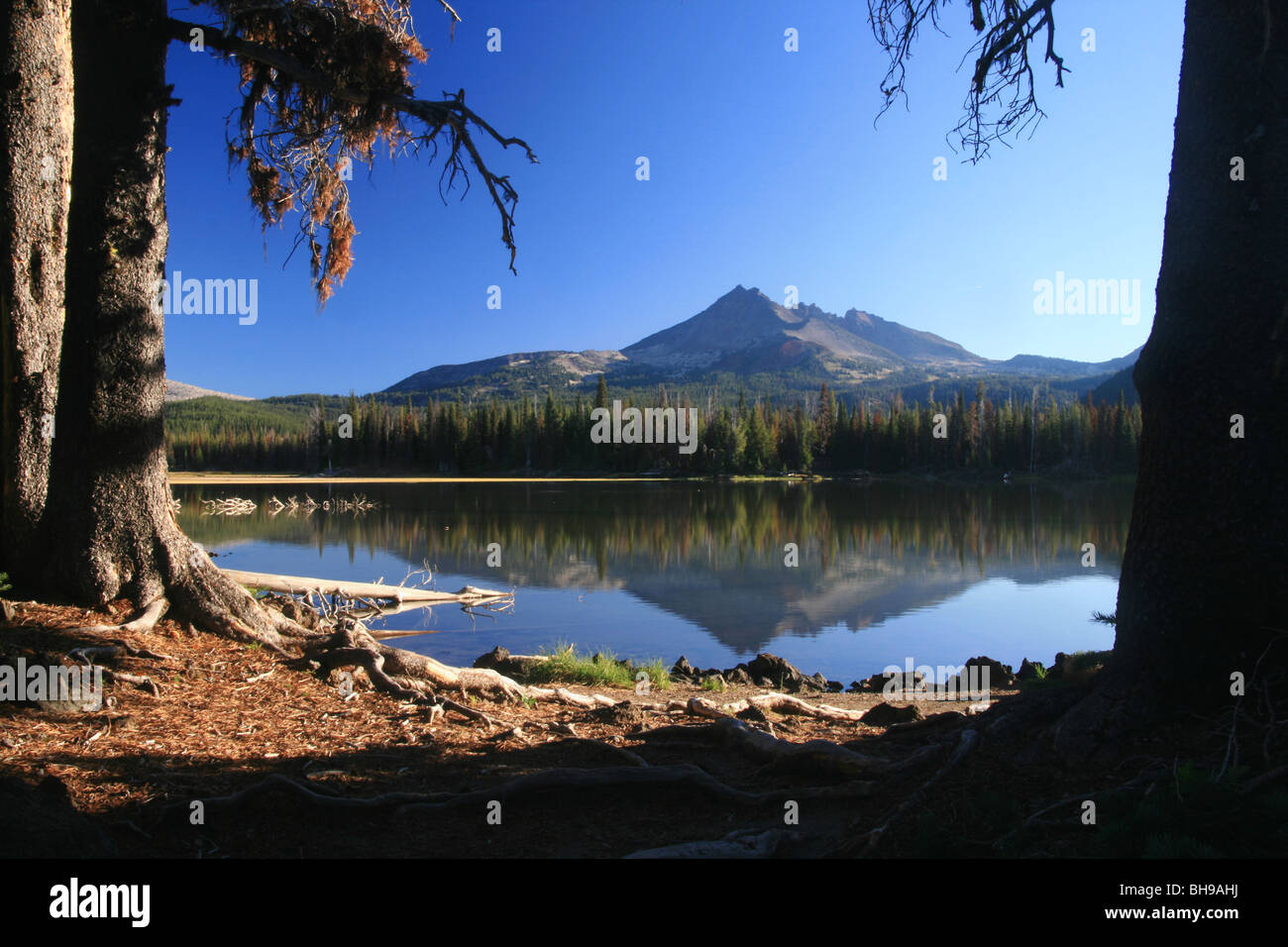 Rotto Top Mountain nel centro di Oregon Foto Stock