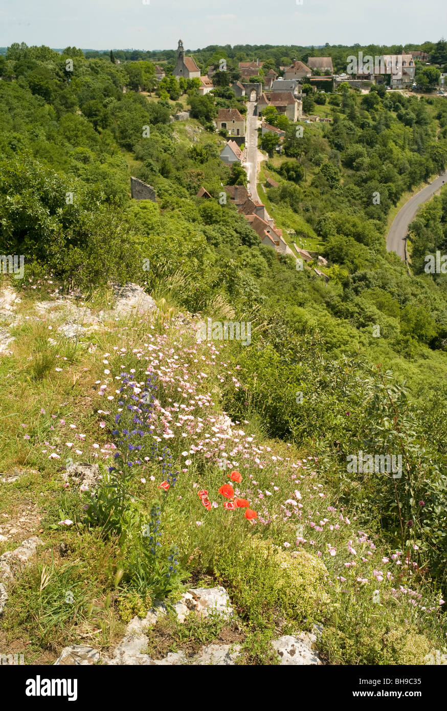 Fiori di campo sulla scarpata vicino a Rocamadour, Lot, Occiranie, Francia, Europa in estate Foto Stock