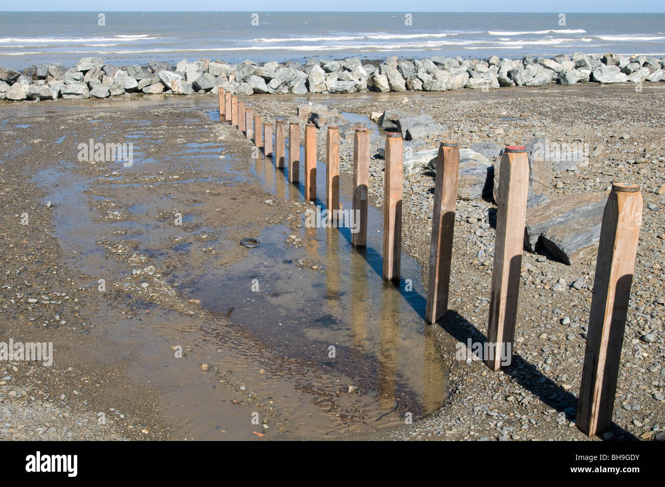 Nuovi pennelli agiscono come una struttura di frangionde sulla spiaggia di Aberaeron, Credigon, Galles Foto Stock