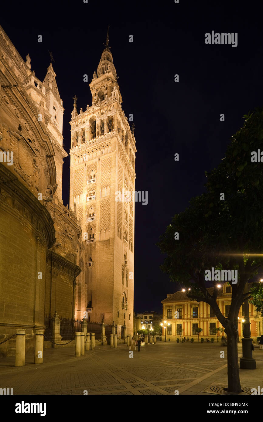 La torre Giralda, Cattedrale di Siviglia, in Andalusia, Spagna Foto Stock