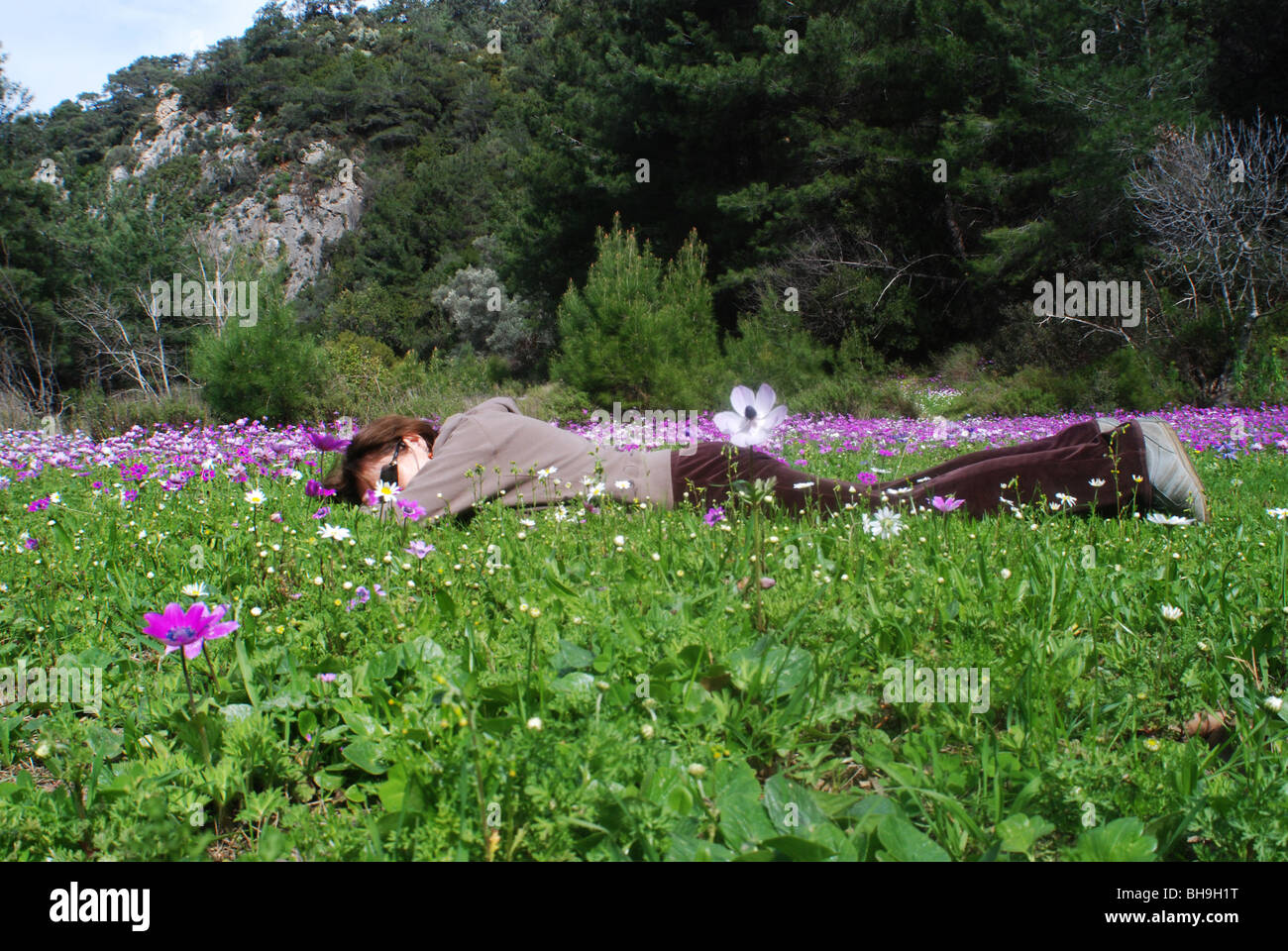 La donna che giace in un prato di anemoni Foto Stock