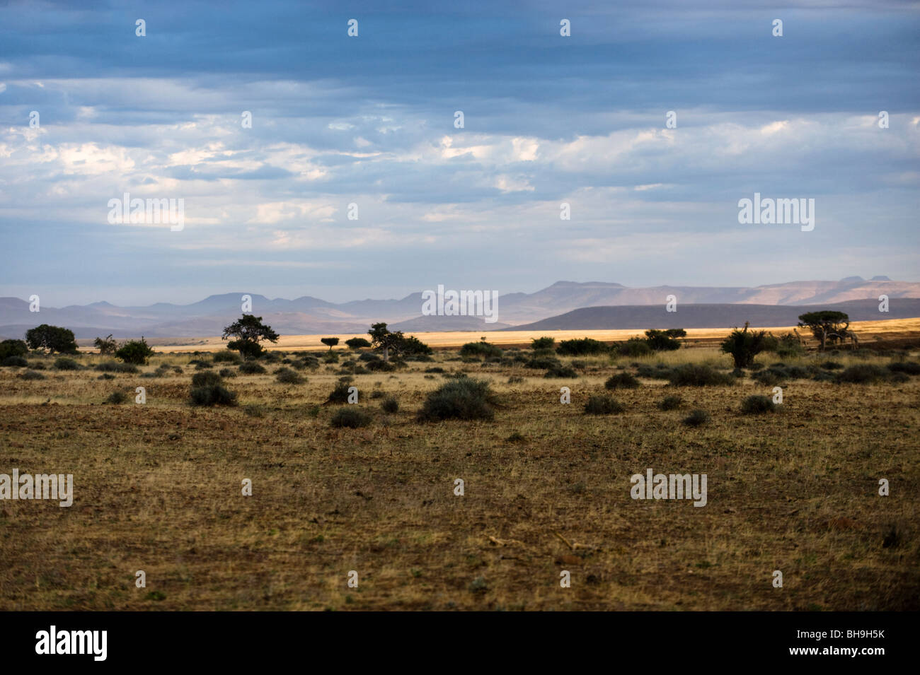 Vista del Damaraland, regione di Kunene, Namibia Foto Stock
