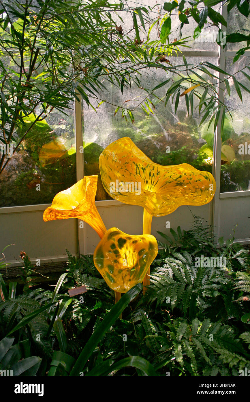 Dale Chihuly vetro giardino Fairchild Tropical Botanic Garden Foto Stock