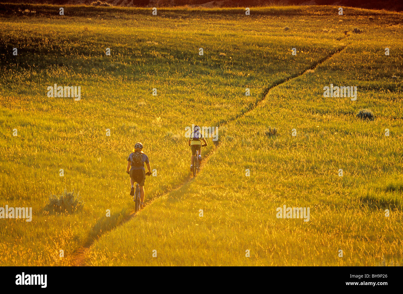 Mountain bike su prairie, Maah Daah Hey Trail, vicino a Medora, il Dakota del Nord, STATI UNITI D'AMERICA Foto Stock