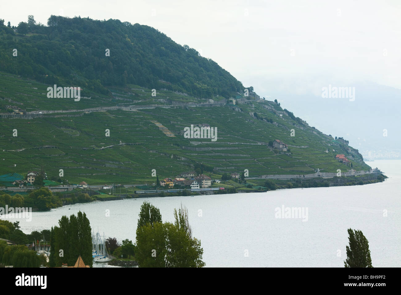 Lavaux vigneti, Sito Patrimonio Mondiale dell'UNESCO, Svizzera, Europa Foto Stock