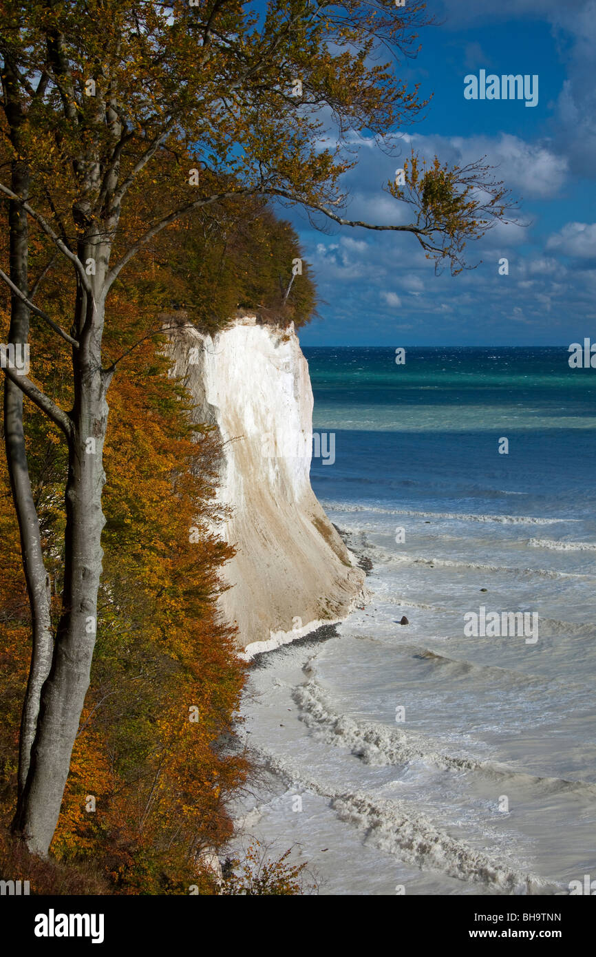 Chalk scogliere sulla costa di Jasmund National Park, Isola di Ruegen, Meclemburgo-Pomerania, Germania Foto Stock