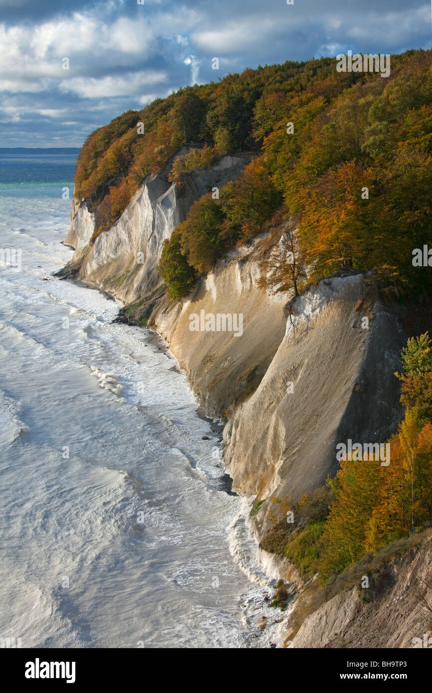 Chalk scogliere sulla costa di Jasmund National Park, Isola di Ruegen, Meclemburgo-Pomerania, Germania Foto Stock