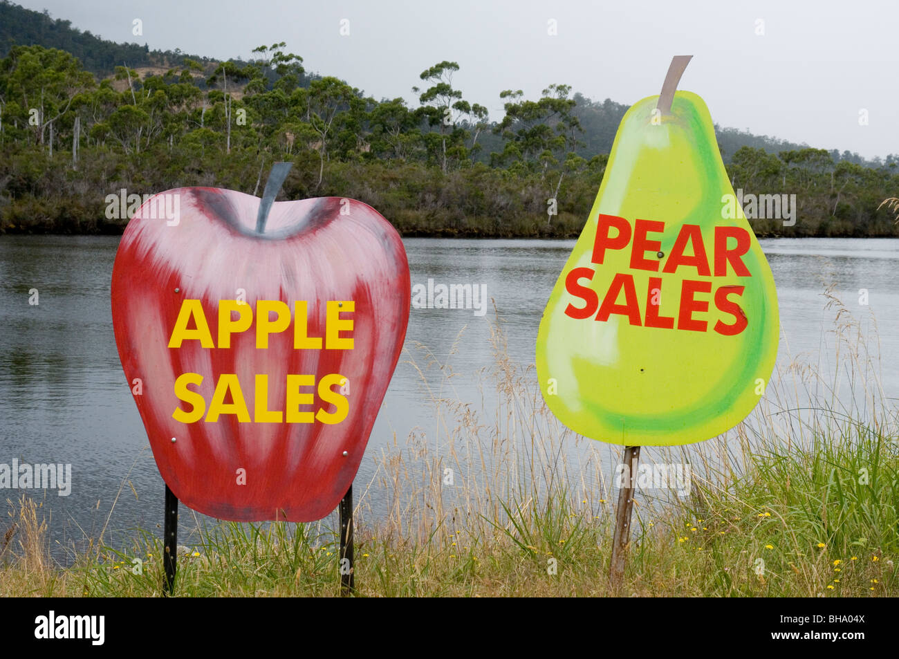 Segnaletica stradale nella Valle di Huon, Sud Tasmania, Australia Foto Stock