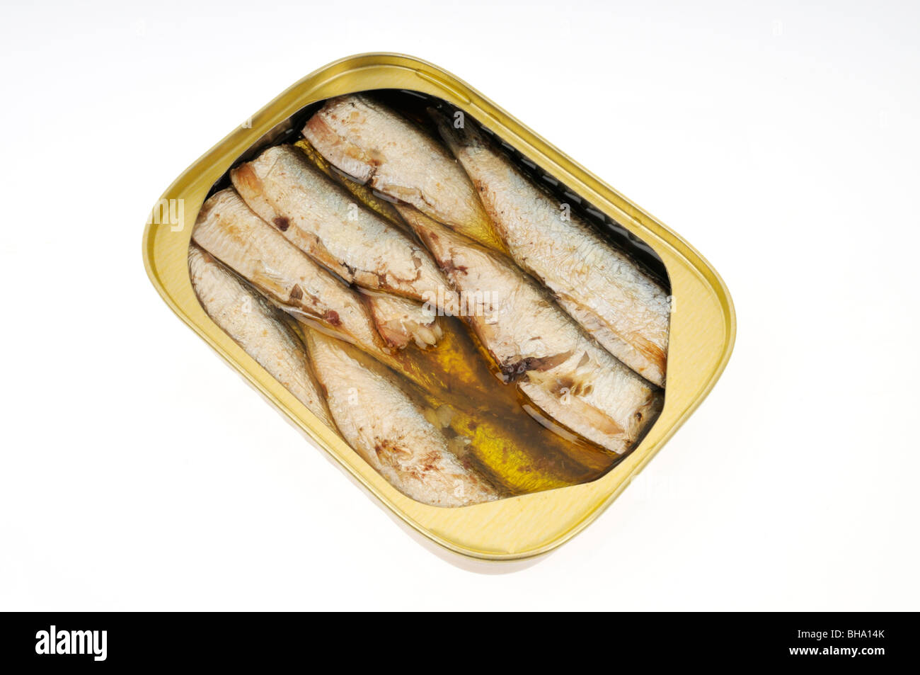 Aprire una scatoletta di sardine confezionate in olio su sfondo bianco, tagliato fuori. Foto Stock