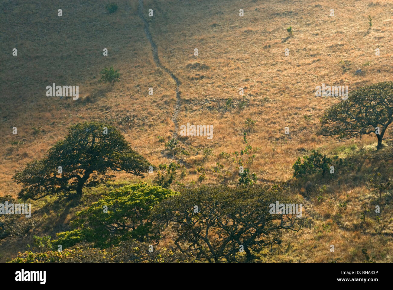 Il Chimanimani montagne sullo Zimbabwe orientale Highlands offrono alcuni dei più spettacolari paesaggi di montagna in Africa Foto Stock