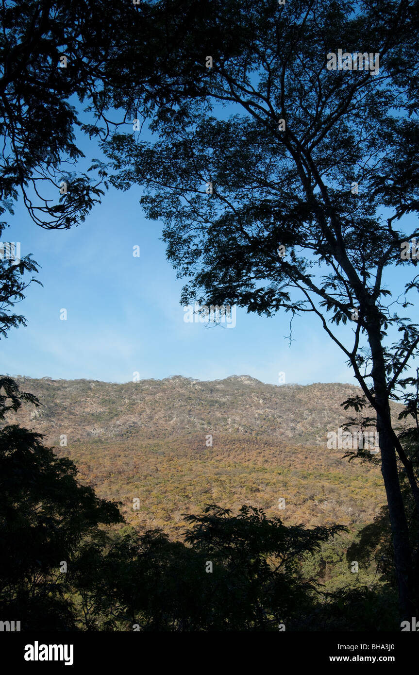 Umfurudzi Area Safari Zimbabwe Africa Foto Stock