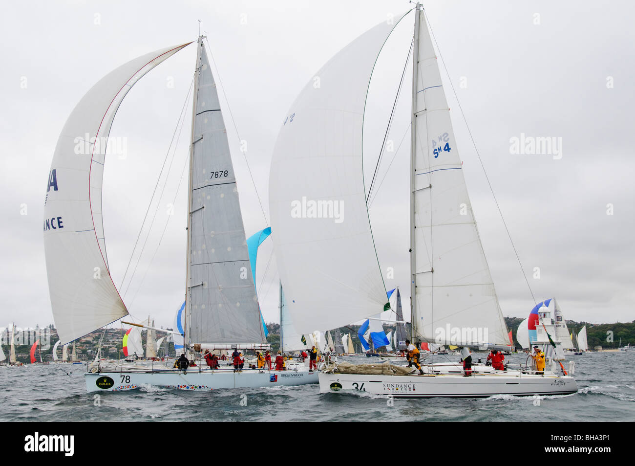 SYDNEY, Australia - Sydney, Australia - un sottovento spinnaker inizio per il 100-forte flotta del 2009 Rolex Sydney Harbour Yacht Race nel porto di Sydney. Foto Stock