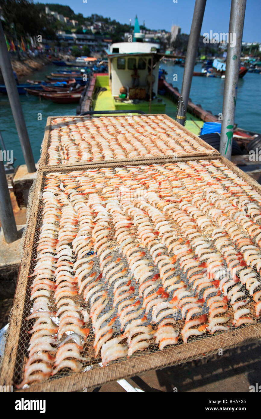 Una cattura di gamberetti che è aria essiccata a porto di pesca in Cheung Chau, Hong Kong Foto Stock