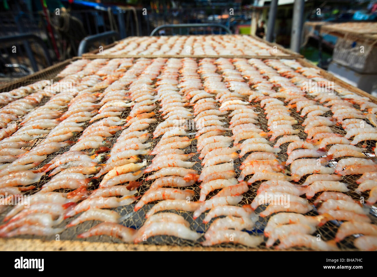 Una cattura di gamberetti che è aria essiccata a porto di pesca in Cheung Chau, Hong Kong Foto Stock