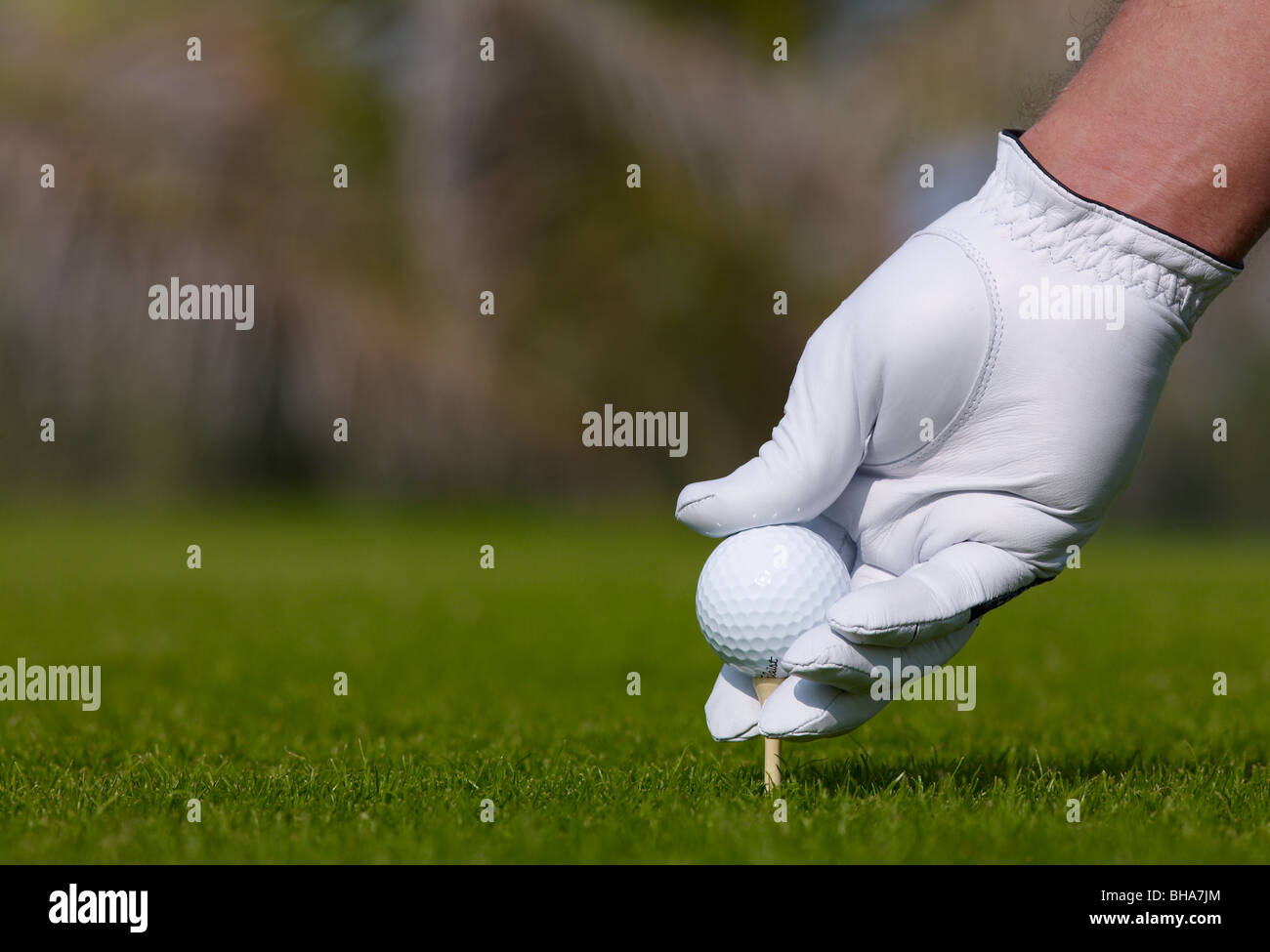 Guanto a mano la sfera bianca tee erba gioco di sport club Foto Stock
