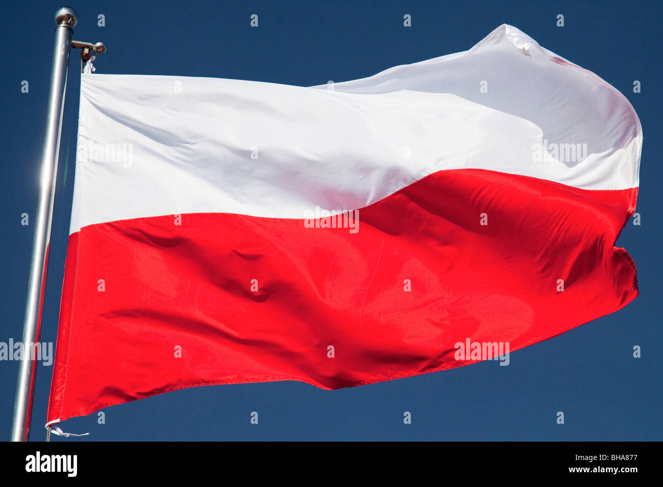 Bandiera della Polonia Foto Stock
