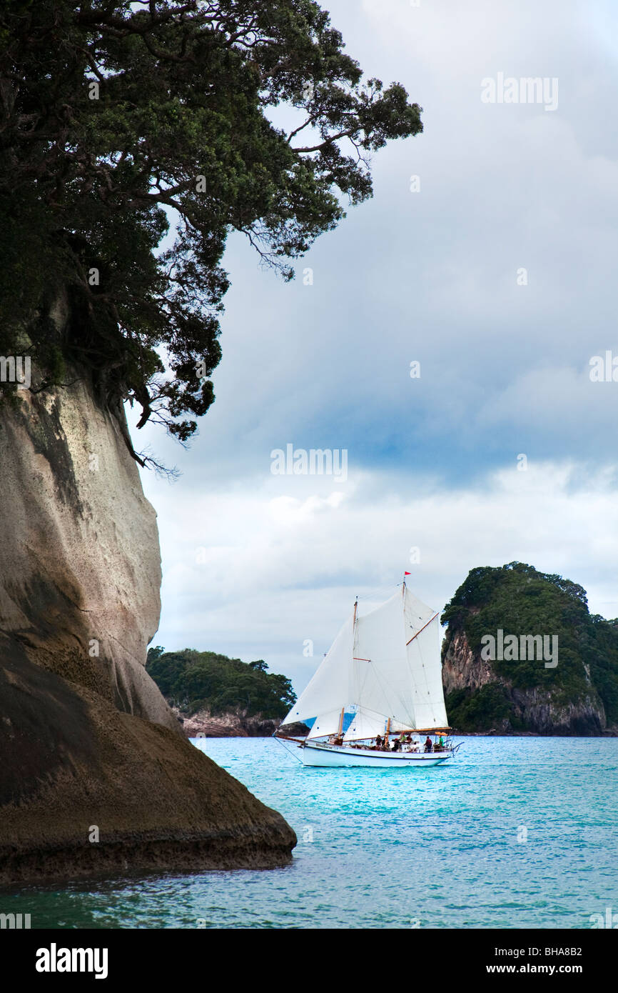 Imbarcazione a vela in mare blu a Cove della cattedrale Penisola di Coromandel, Isola del nord, Nuova Zelanda. Foto Stock