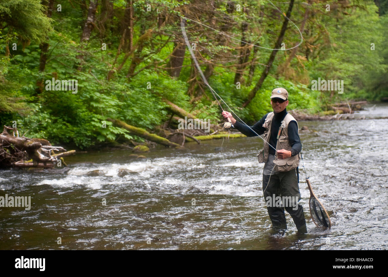 Fly fisherman pesca alla trota al Ward Creek vicino a Ketchikan, a sud-est di Alaska, estate Foto Stock