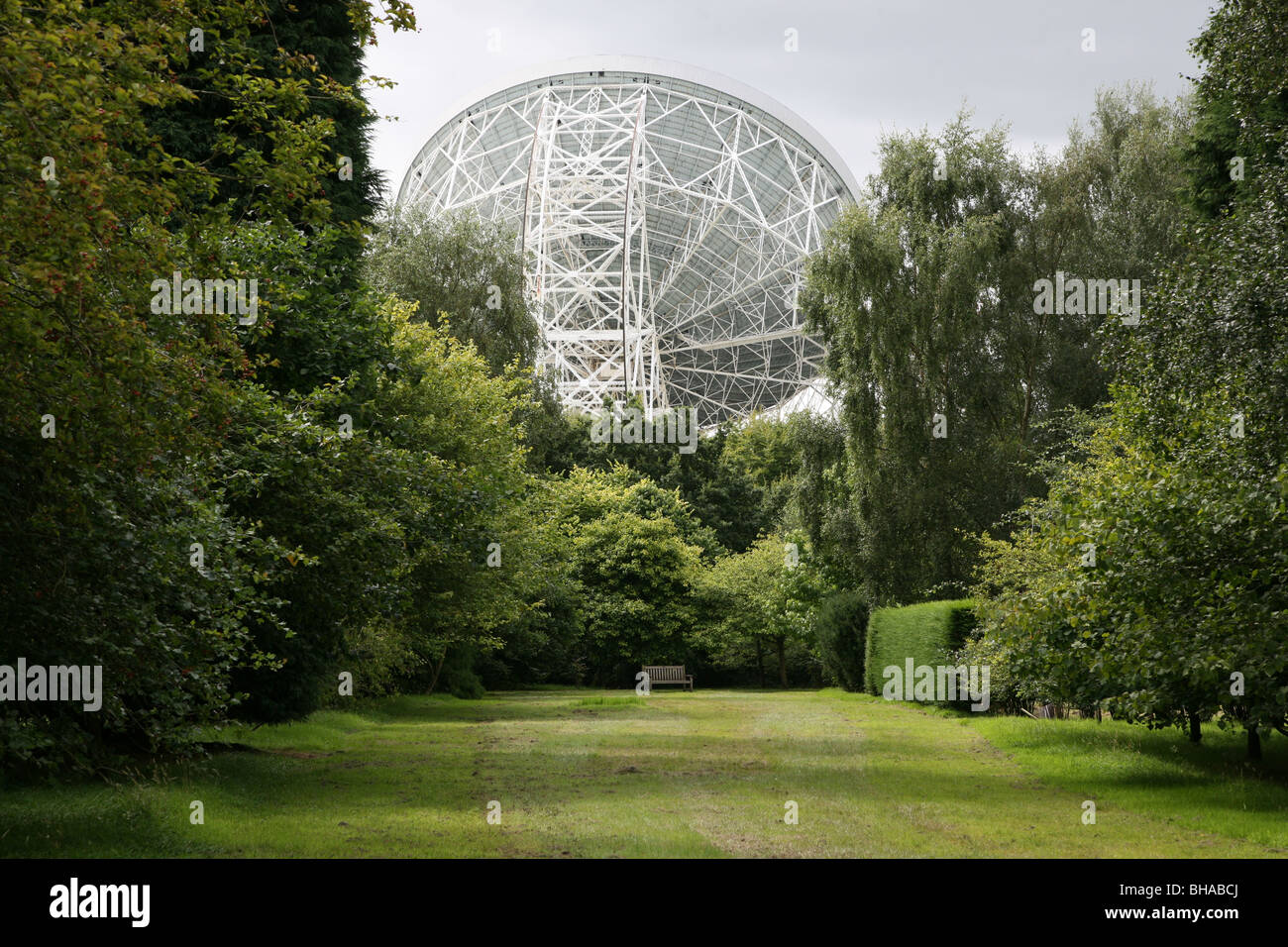 Jodrell Bank Radio Telescope arboretum Cheshire, Inghilterra, Regno Unito Foto Stock