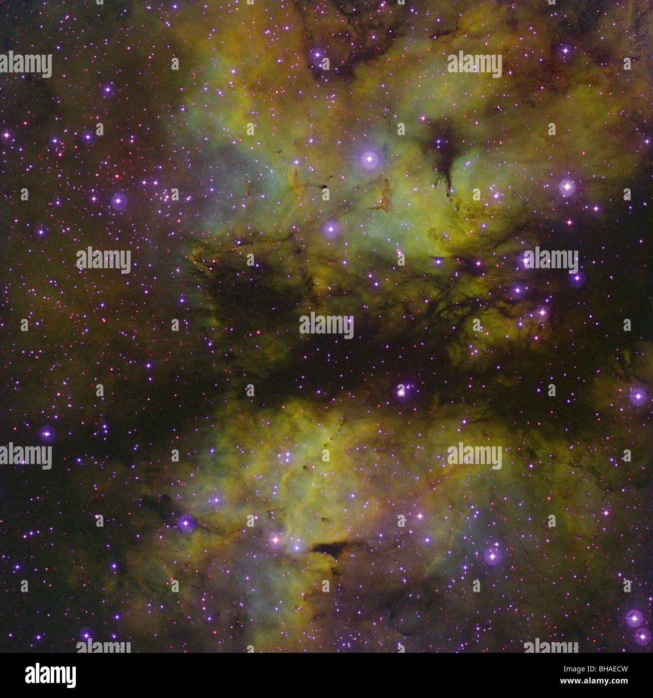 Nebulosa a emissione IC 1318, vicino alla stella Gamma Cygni Foto Stock