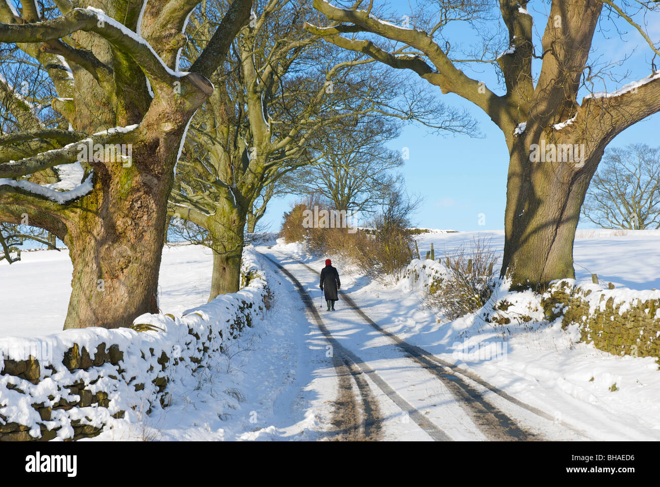 Femmina fino a piedi snowy lane in Wharfedale, Yorkshire Dales National Park, North Yorkshire, Inghilterra, Regno Unito Foto Stock