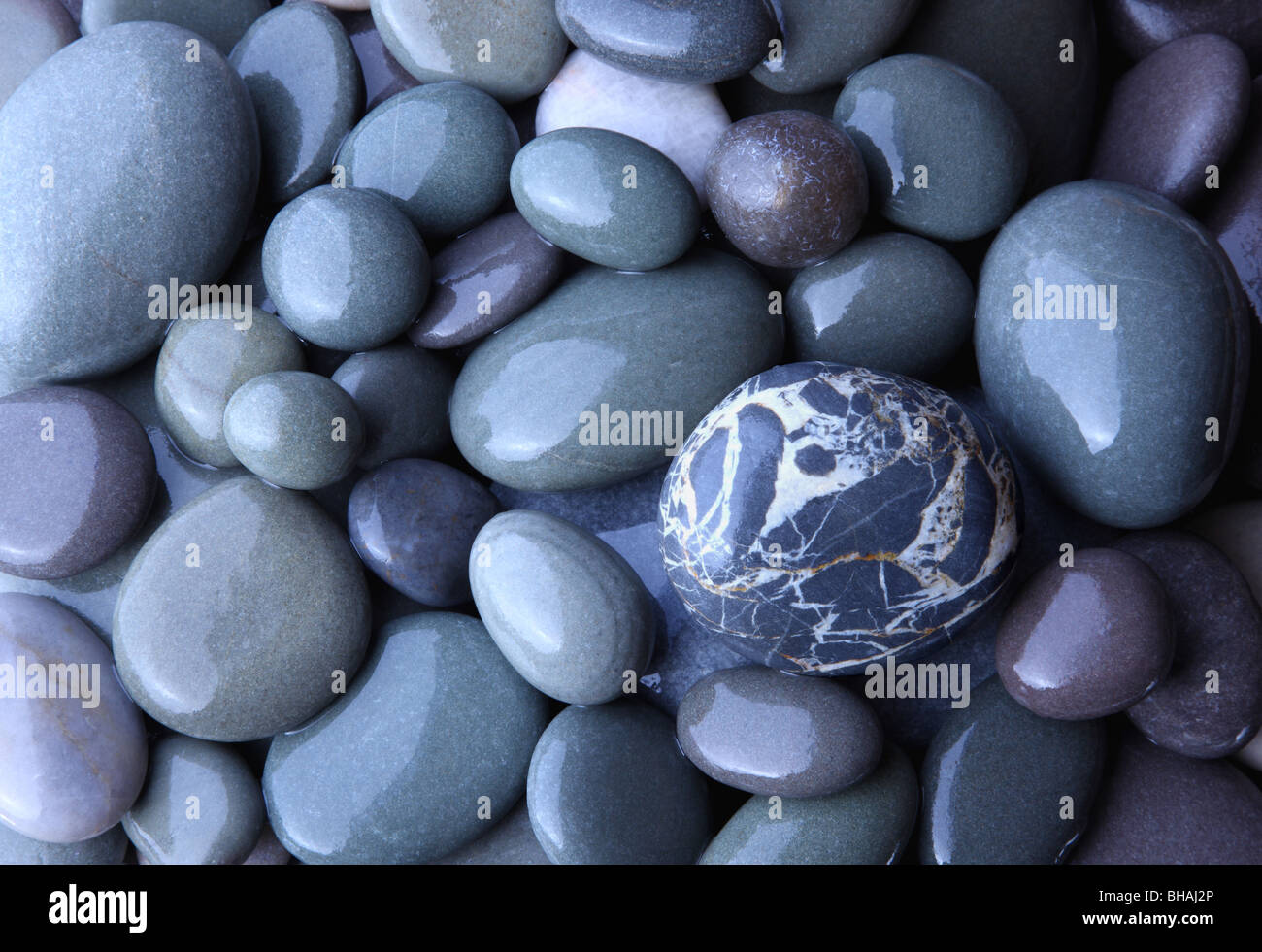 Wet, lisce e ciottoli di granito sulla spiaggia Hurlestone, Somerset, Inghilterra Foto Stock