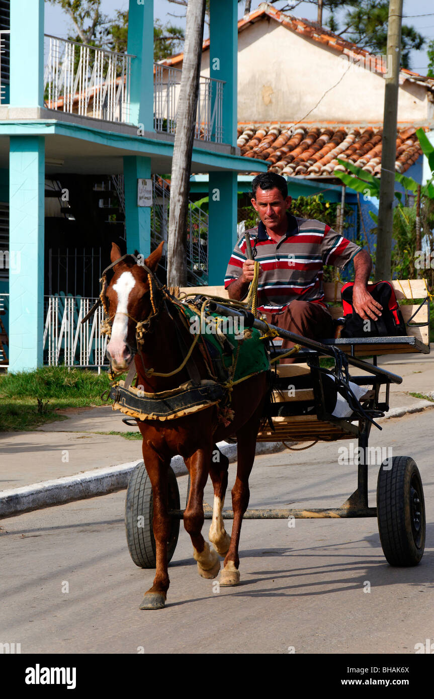 Cavallo e carrello, il Vinales, Cuba Foto Stock