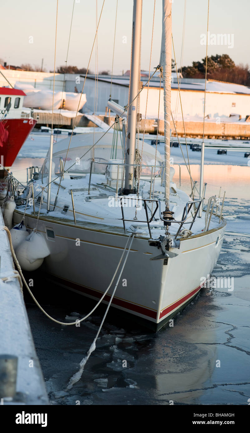 Dettagli inverno, Svezia 2010. Foto Stock