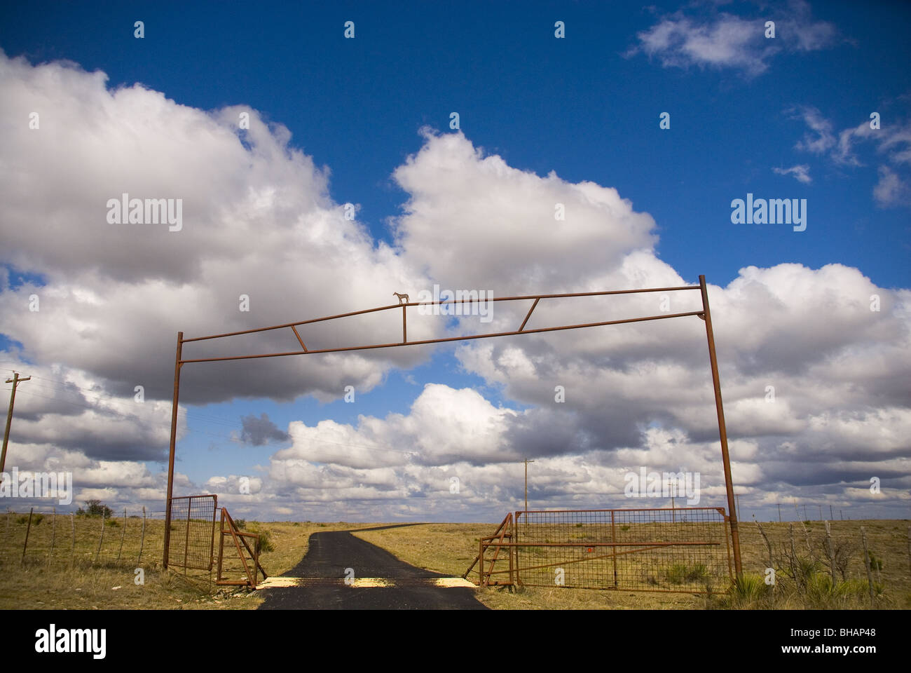 Texas Country Road e bovini in guardia contro una nuvola bianca riempito il cielo blu Foto Stock