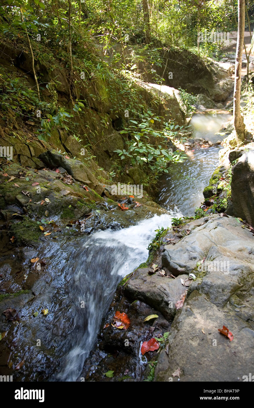 Khao Phra Thaeo National Park in Phuket Foto Stock