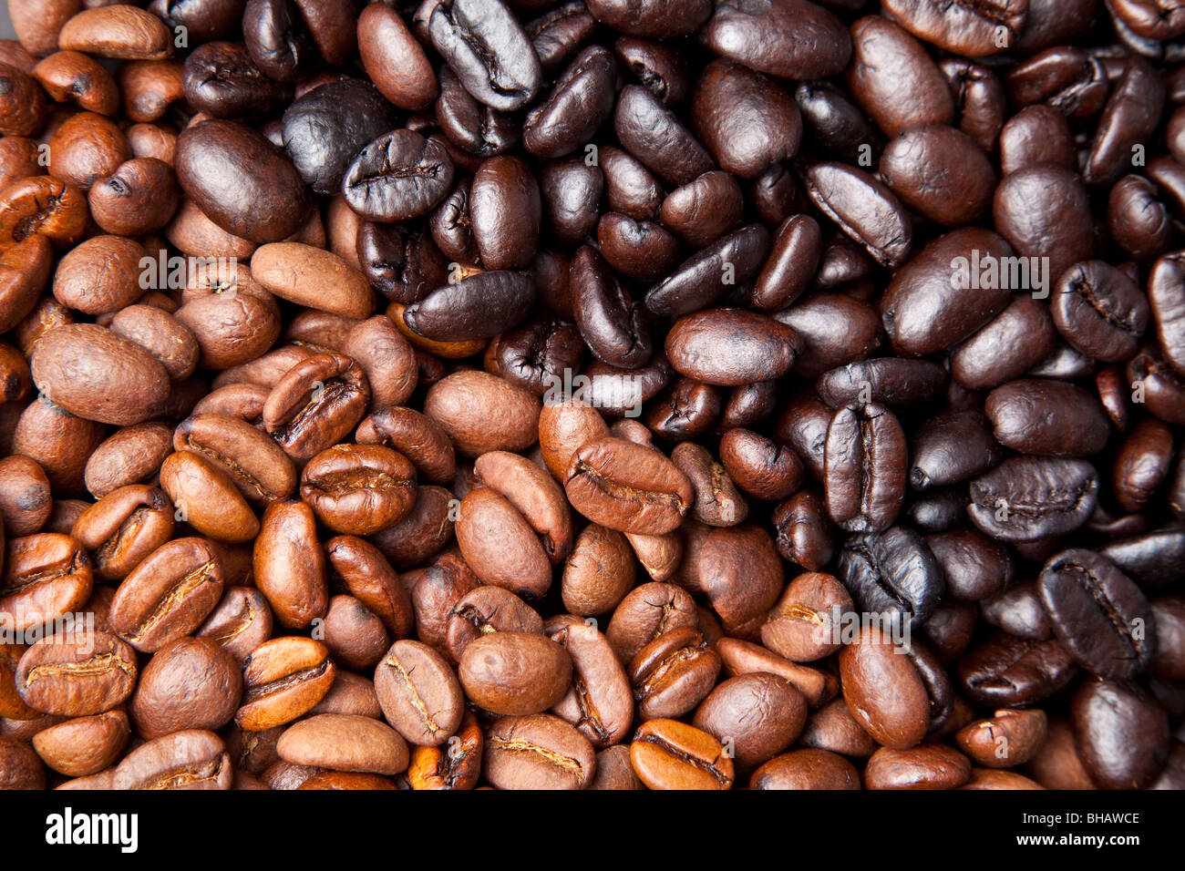 Chicco di caffè sfondo con luce e Dark Roast Foto Stock