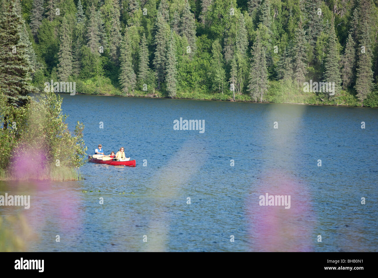 Famiglia paddling una canoa insieme sul lago Byers, estate, Denali State Park, centromeridionale Alaska, Stati Uniti d'America. Foto Stock