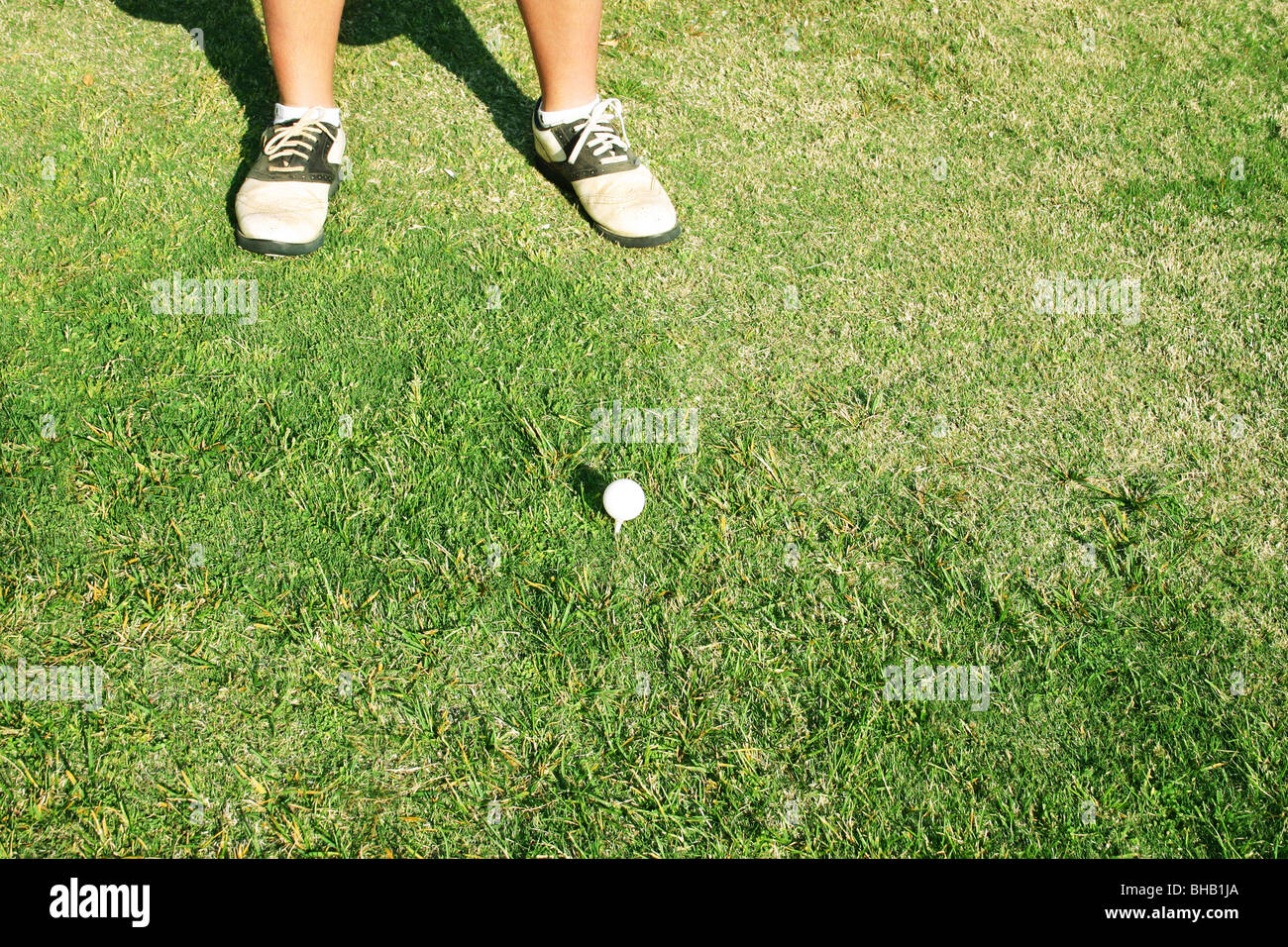 Il Golfer righe dalla sua scatola a T Foto Stock