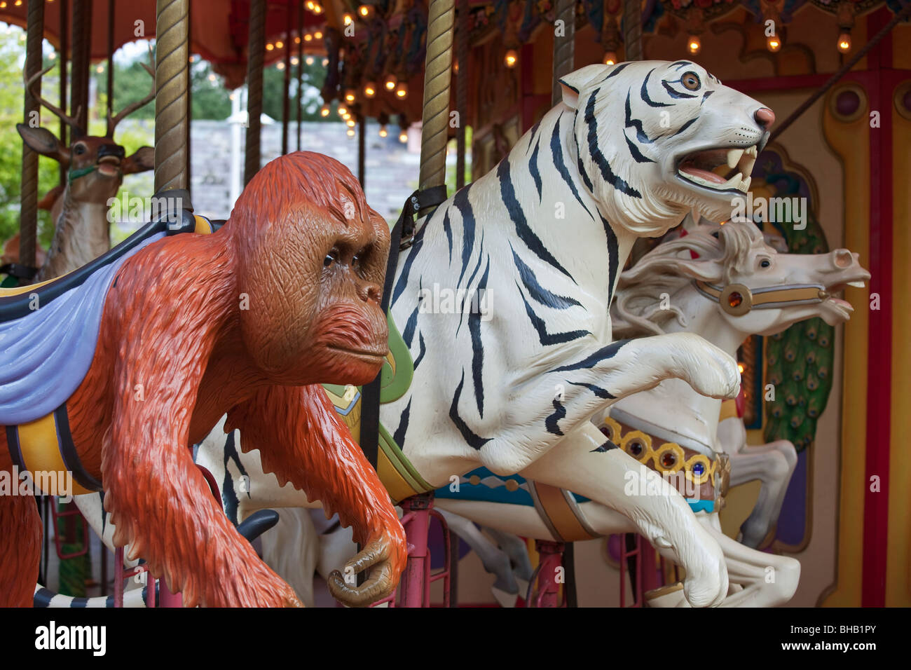 Primo piano della orangutan, Tiger e cavallo sulla giostra a Audubon Zoo. Foto Stock