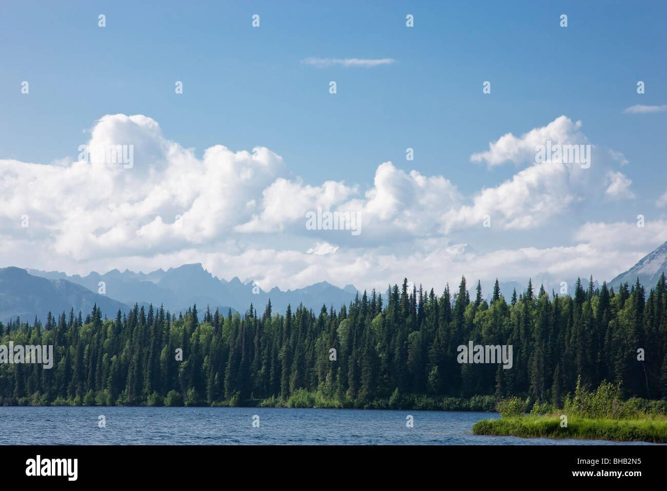 Vista l'Alaska Range dal lago Byers, estate, Denali State Park, centromeridionale Alaska Foto Stock