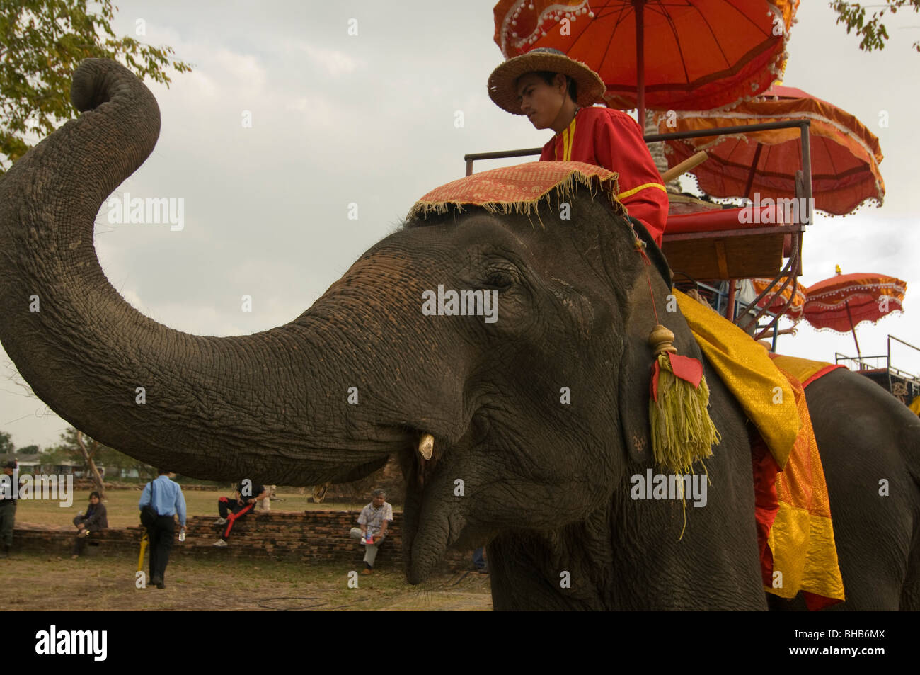 Equitazione elefante al Patrimonio Mondiale UNESCO templi in Ayutthaya Thailandia Foto Stock