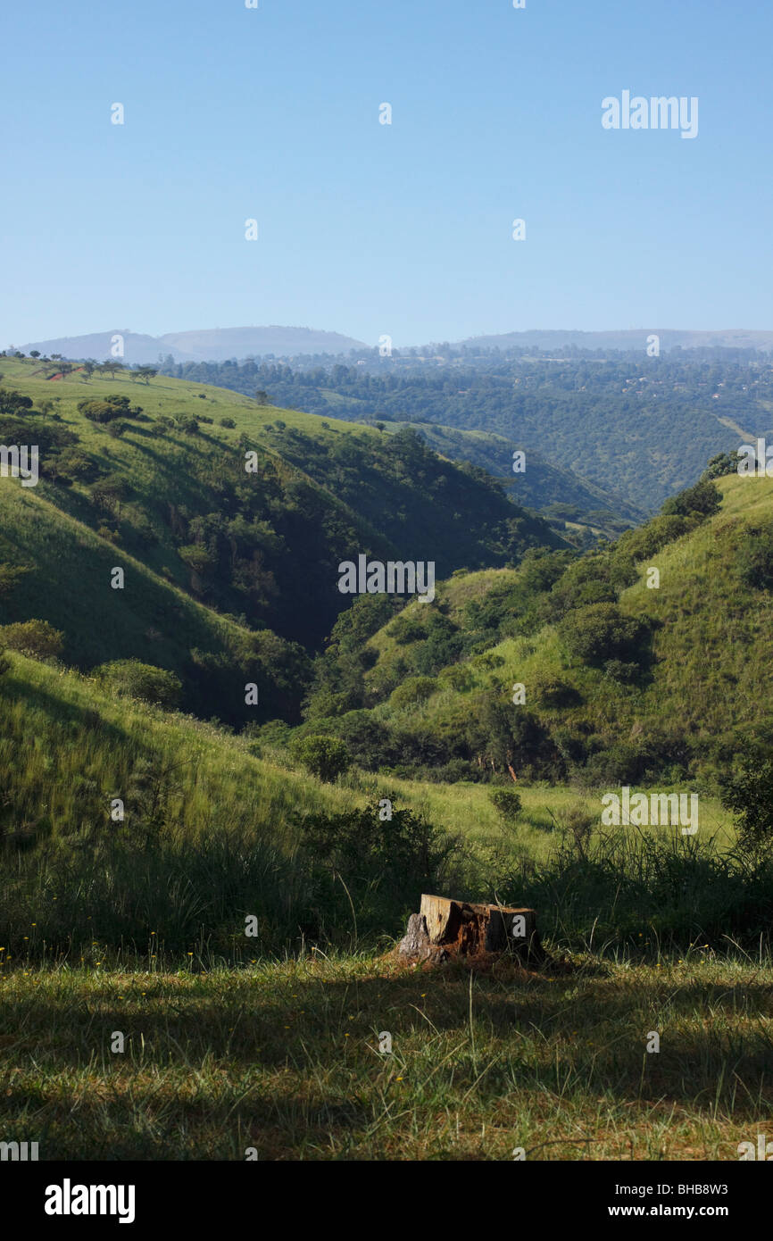 La mattina presto le ombre drammi una gola che conduce verso la principale Umgeni Valley nelle Midlands, Kwazulu Natal, Sud Africa. Foto Stock