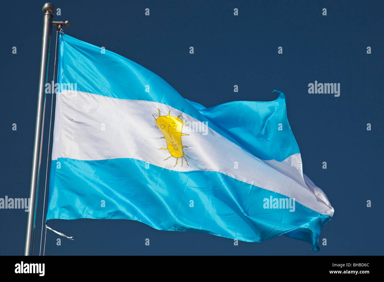 Bandiera dell'Argentina Foto Stock