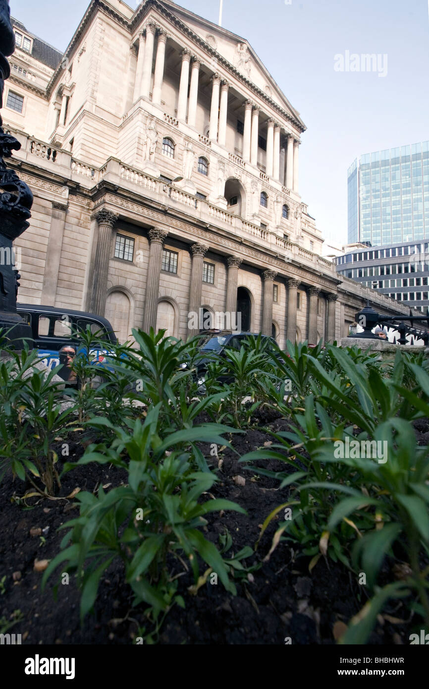 La Banca d'Inghilterra nella città di Londra con alcune piante in primo piano Foto Stock