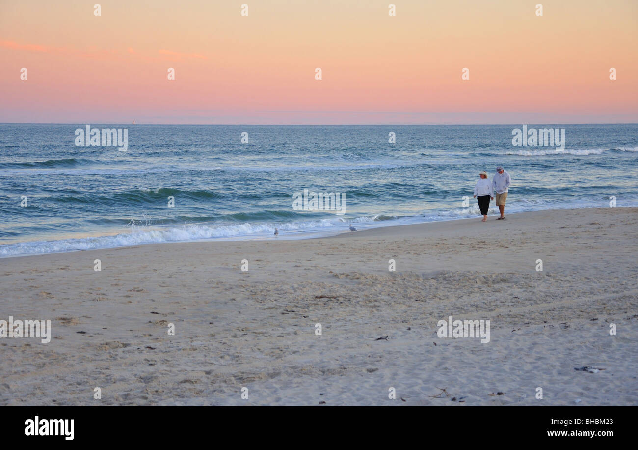 Assateague Island Maryland National Seashore parco dello stato Foto Stock