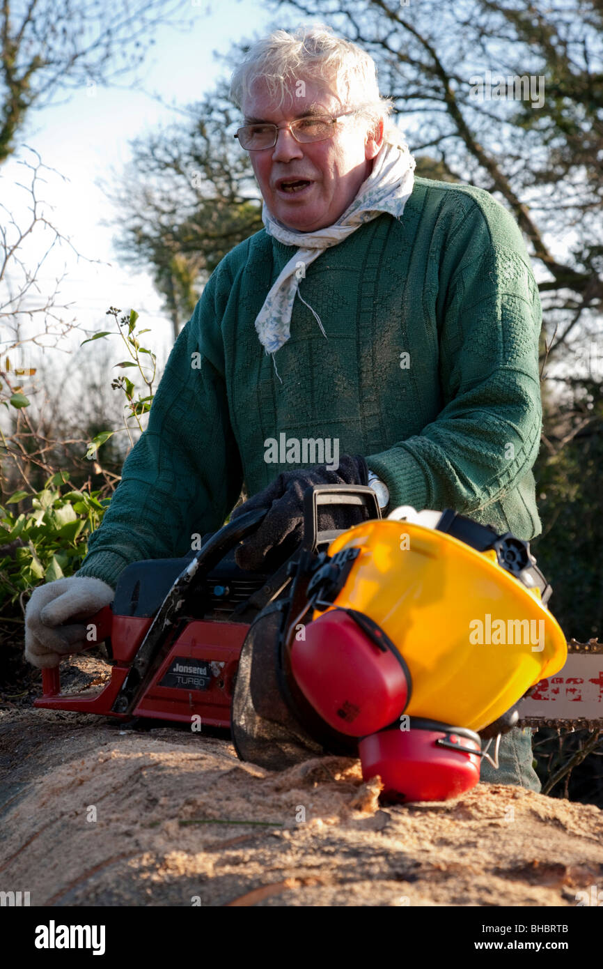 Abbattimento degli alberi nella contea di Limerick Irlanda Foto Stock