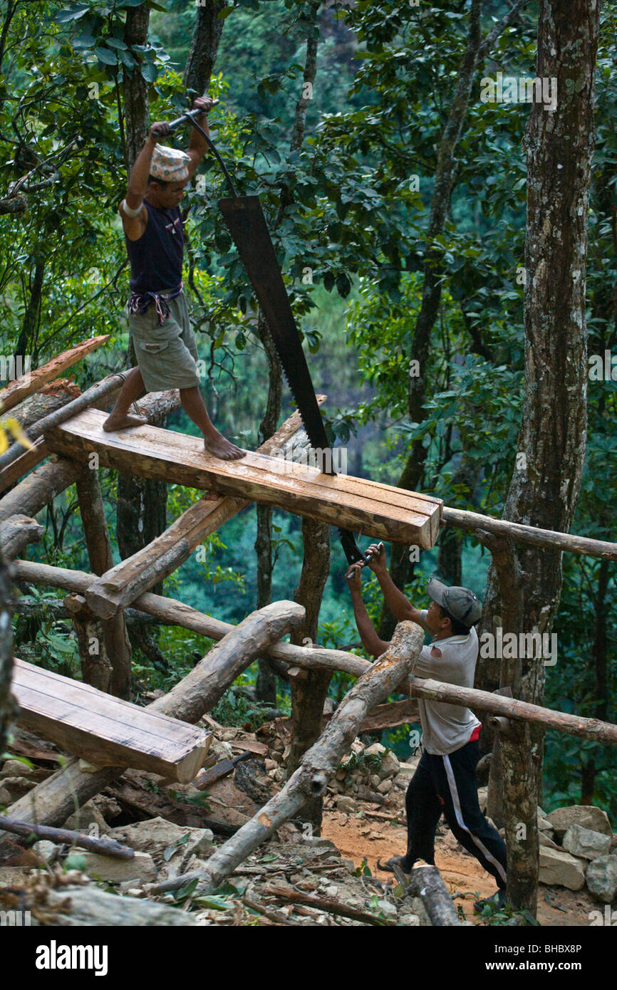 Il nepalese gli uomini utilizzano una grande croce sega da taglio per fare di pannelli di legno a mano - intorno il MANASLU TREK, NEPAL Foto Stock