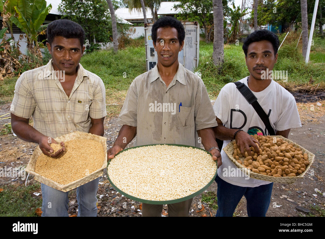 Il mais riso e arachidi la dieta della graffetta cibo di Timor Est visualizzati dal personale di " sementi di vita' nazionali di stoccaggio in aneto. Foto Stock