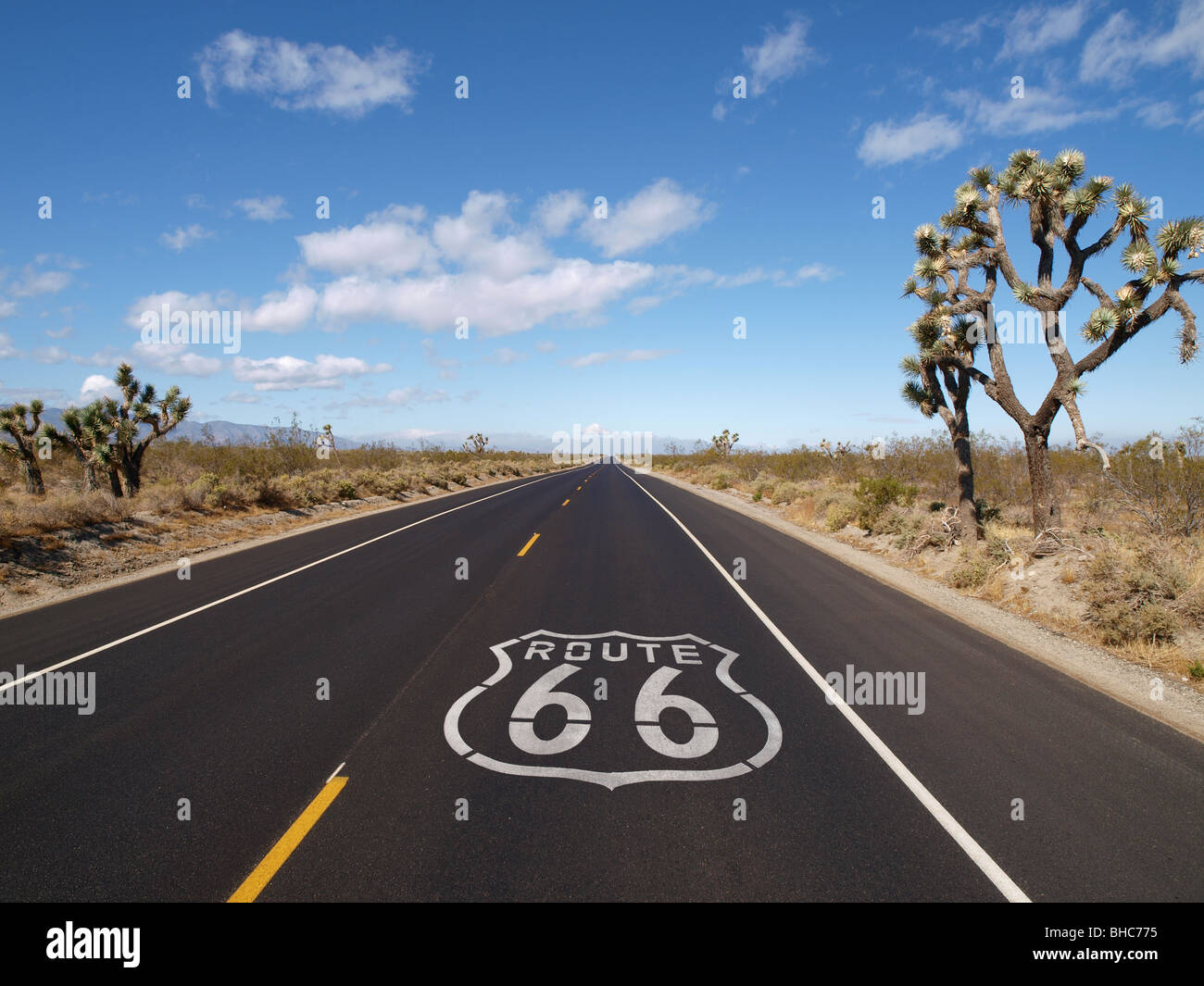 Route 66 marciapiede di firmare con alberi di Joshua nella California Meridionale. Foto Stock