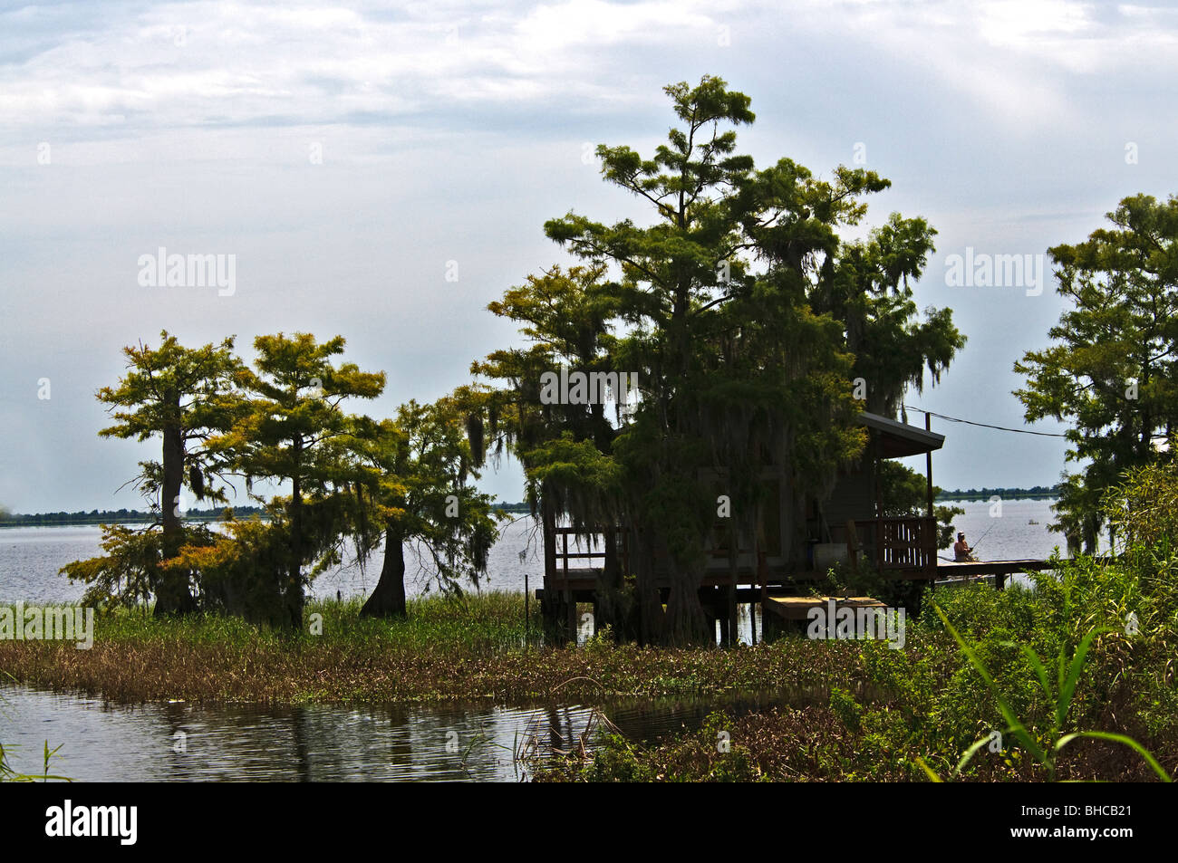 La pesca del camp nella Florida Centrale, sulla riva di un lago che è infestata da alligatori Foto Stock